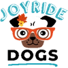 joyrideharnessbest.it.com