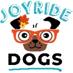joyrideharnessbest.it.com